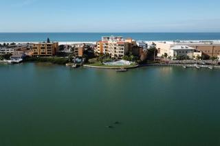 409 - Palms of Treasure Island - 7