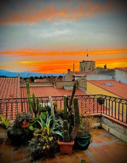 Loft vue Canigou - Maureillas - 0