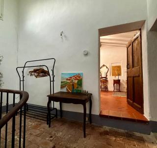 Loft vue Canigou - Maureillas - 5