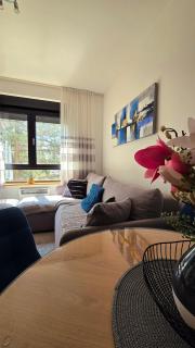 Apartman Silver Lux - Zlatibor - 1