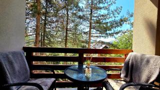 Apartman Silver Lux - Zlatibor - 7