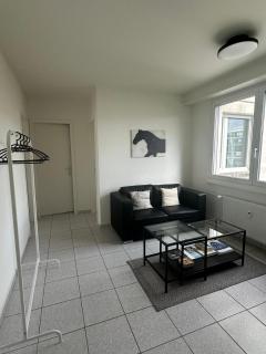 Business-Wohnung Messe Basel - Basilea - 2