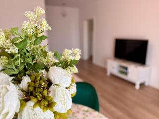 Vesel Fluturas Chic Apartment - 4