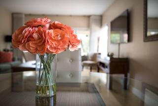 Windsong #2 Beautiful Boggy Sand Beach, SMB - 5