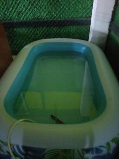 Location Appartement avec Piscine - Bordj Bou Arreridj - 3