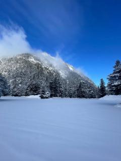 Le Balcon du Lys, parking privé et proche du centre - 1