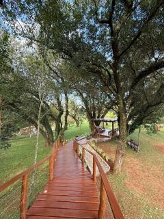 Casa na Árvore em Guarapuava - 5