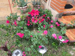 Casa Victoria - 3
