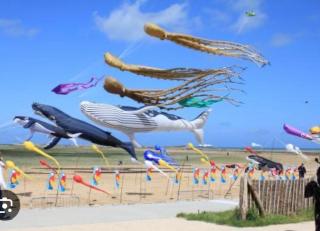 Gîte du calvaire - 1