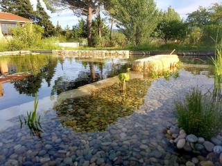 Le colibri du Luberon - 7
