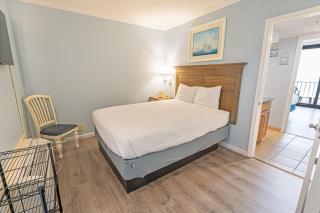 Low FloorGreat Direct Oceanfront ViewHeated Pool - Myrtle Beach - 1