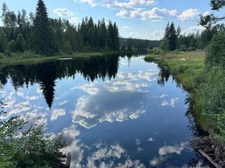 Huis bij bos en water - Hagfors - 8