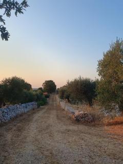 Trullo cumma Rosa - Alberobello - 9