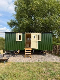 Cosy Shepherd Hut - 9
