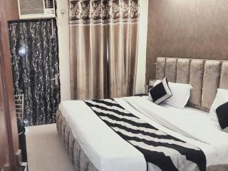 Hotel Green Snapper' Kamla Nagar - Nuova Delhi - 1