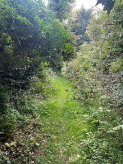 The Hive, Maghera, Newcastle - 5