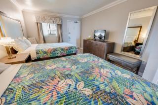 1BR-Direct Oceanfront,Updated,Pools Coral Beach! - 8