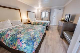 1BR-Direct Oceanfront,Updated,Pools Coral Beach! - 2