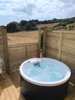 Shepherds hut with Hot Tub pet friendly - 5