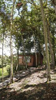 Cabaña Efímera en medio del bosque en La Ceja - La Ceja - 9