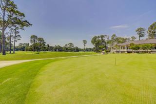 6 Wood Ibis - 6