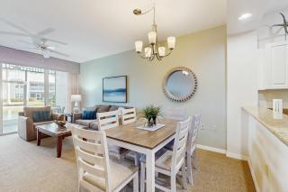 Royal Palm - 3