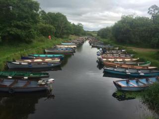 Horseshoe Cottage, Killarney - Killarney - 8