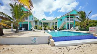 The Banana Bird Ocean View Studio Cottage in East End - 0