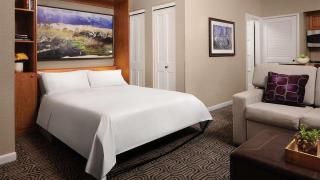 Marriott's StreamSide - Birch Studio Apartment with Resort Access - 7