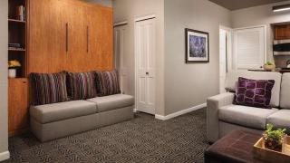 Marriott's StreamSide - Birch Studio Apartment with Resort Access - 6