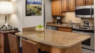Marriott's StreamSide - Birch 1BR Apartment with Resort Access - 8