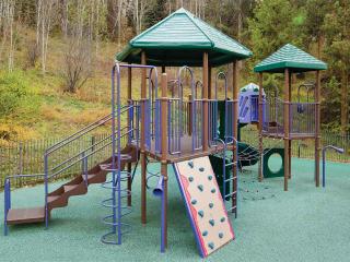 Marriott's StreamSide - Birch 1BR Apartment with Resort Access - 3