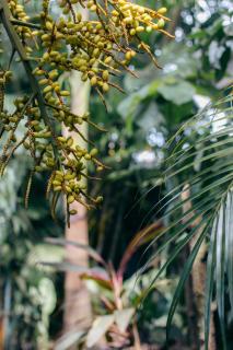 At Vera & Pinto's - 4