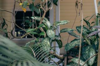 At Vera & Pinto's - 3