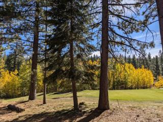 Fully Renovated Northstar Lake Tahoe Retreat - 8