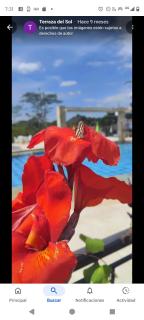 Hotel terrazas del sol - 2