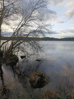 Kelly's Country Cottage - 0