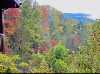 Falcon Crest cabin - 8