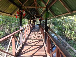 Eco hotel Irapay - Puerto Alegría - 7