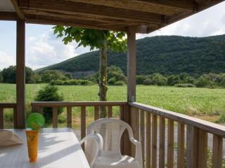 Mobil home confortable avec terrasse pour 6 personnes - API-1-52-393 - 9