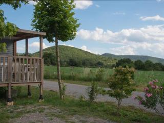 Mobil home confortable avec terrasse pour 6 personnes - API-1-52-393 - Saint-Maurice-dʼIbie - 4