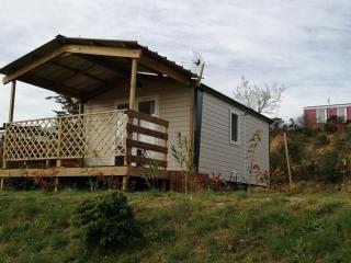 Mobil-home confortable avec terrasse - API-1-52-641 - 0