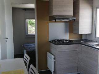 Mobil-home confortable avec terrasse - API-1-52-641 - 9