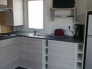 Mobil-home confortable avec terrasse - API-1-52-641 - 5