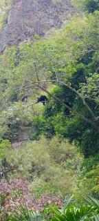 Livio Homestay - Andalas - 6