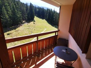 APPARTEMENT AGNIEL - SAPINS 2 - 6 ème étage - FR-1-771-87 - 4