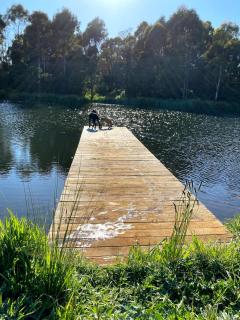 Robin Hoods Well Farm Stay - 9