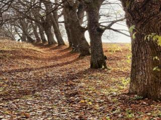 Apartment in Jachymov near Ski Lift - 6