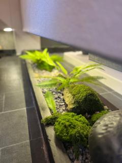 Zhangjiajie Mount View Cottage - 0