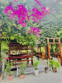 Châu Homestay - 3